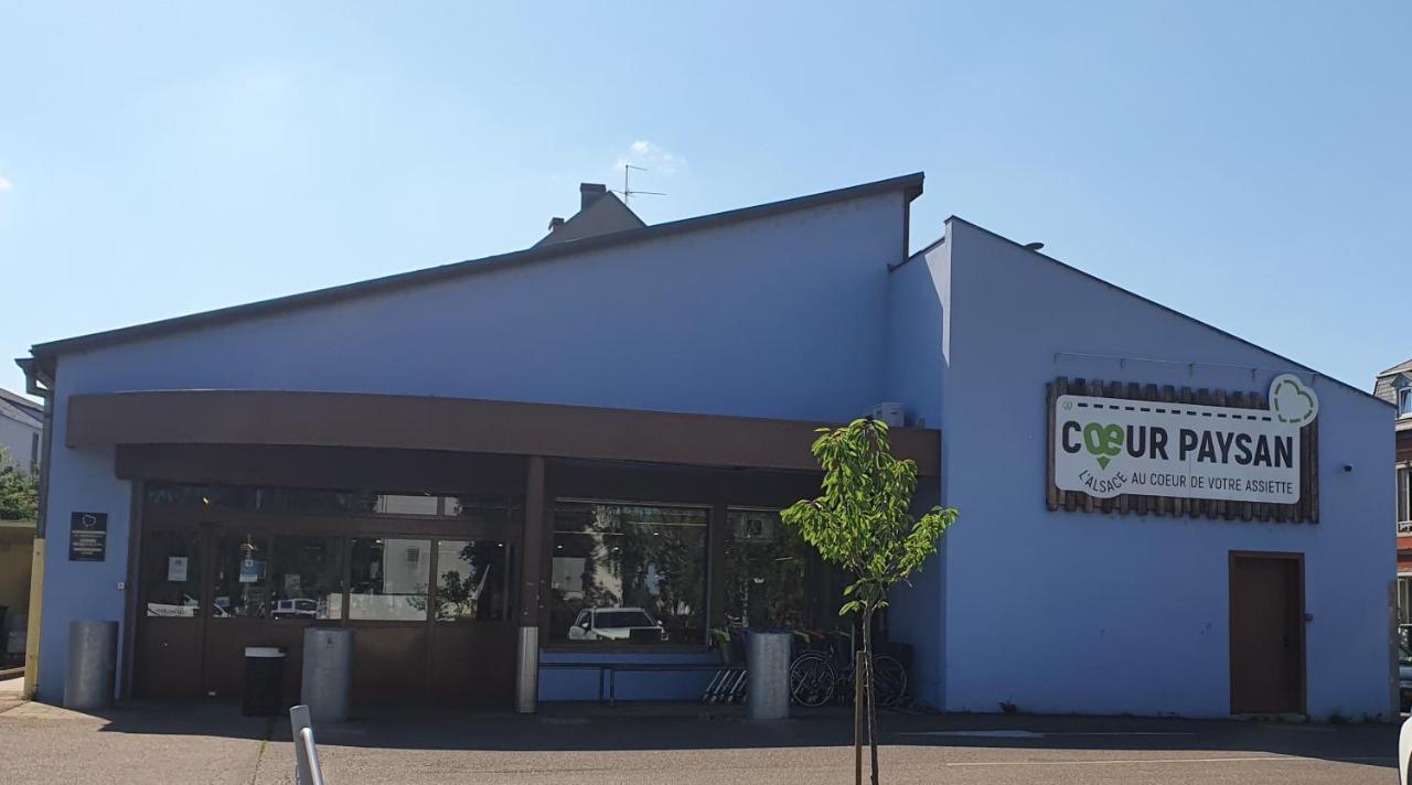 Apartamento Le Bienvenue A Colmar - Parking Prive Inclus, Centre A Deux Pas Exterior foto